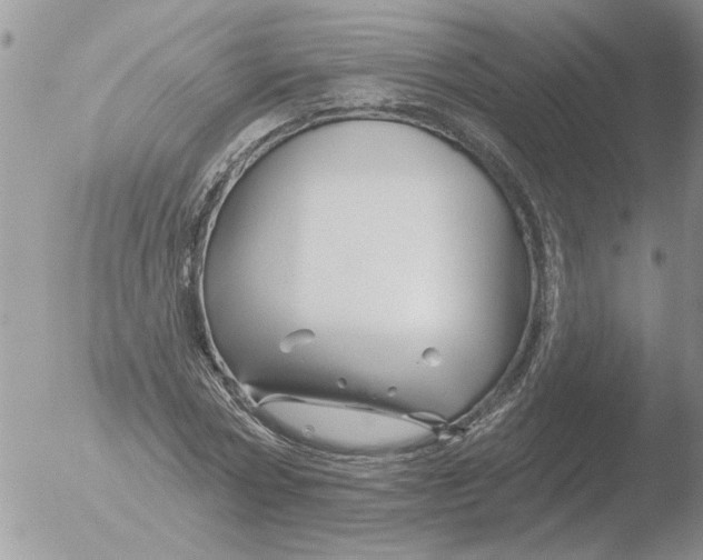 X0000051920778200507152056