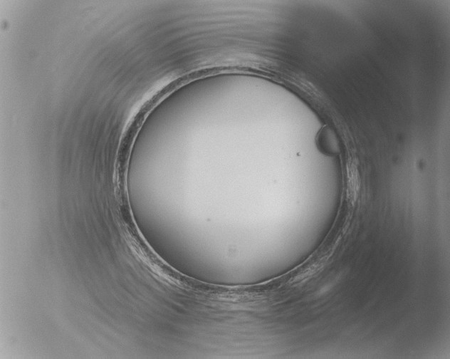 X0000051920780200507152056