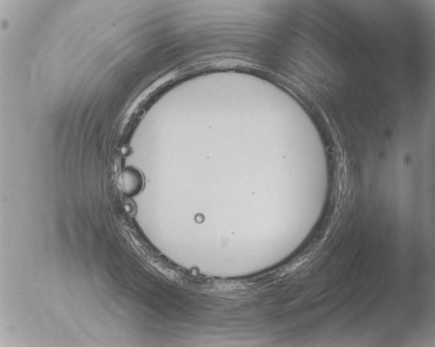 X0000051920782200507152056