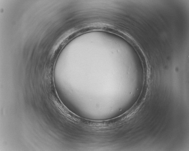 X0000051920783200507152056