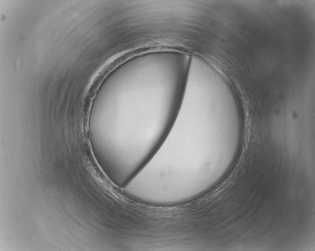 X0000051920784200507152056