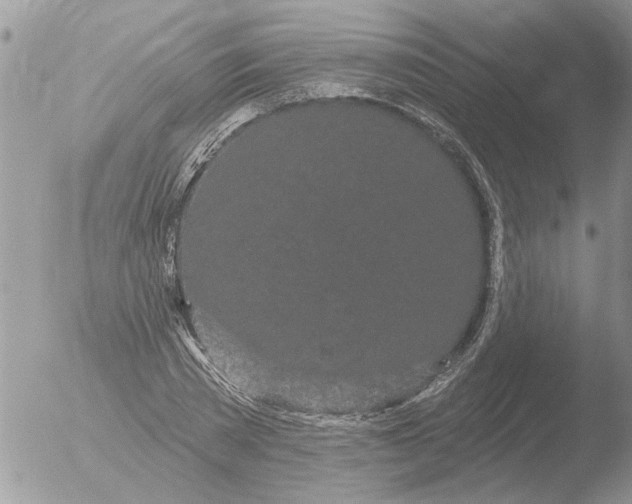 X0000051920785200507152056