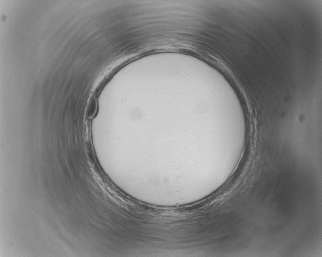 X0000051920787200507152055