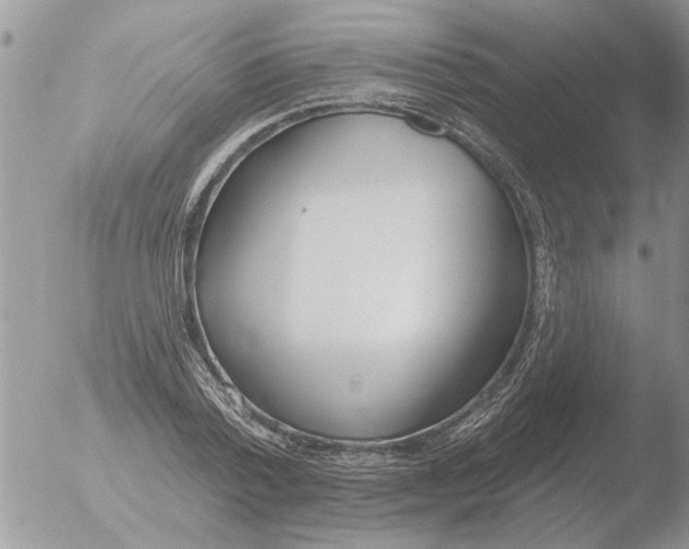 X0000051920788200507152055