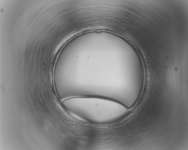 X0000051920789200507152055