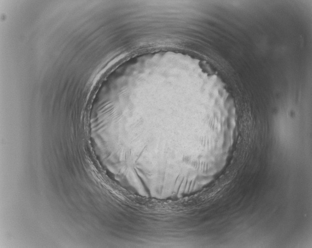 X0000051920790200507152055