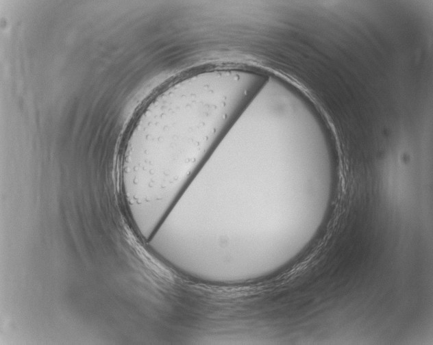 X0000051920791200507152055