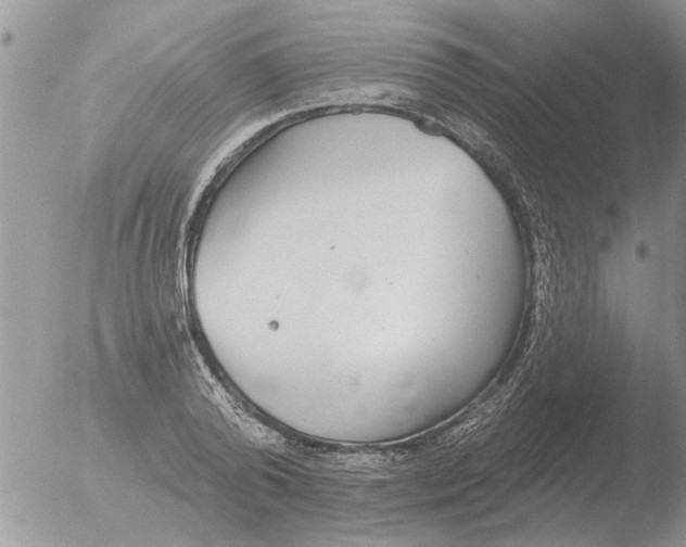 X0000051920792200507152055