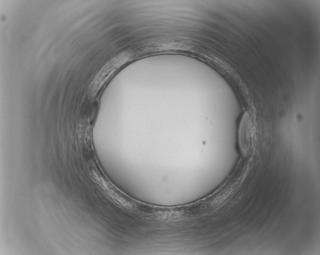 X0000051920793200507152055