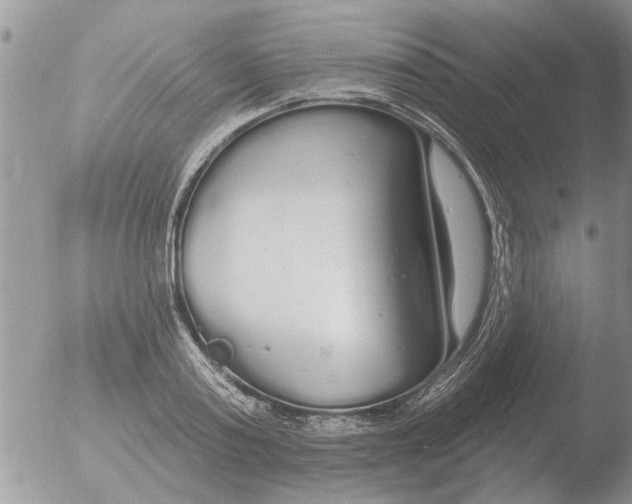 X0000051920795200507152055