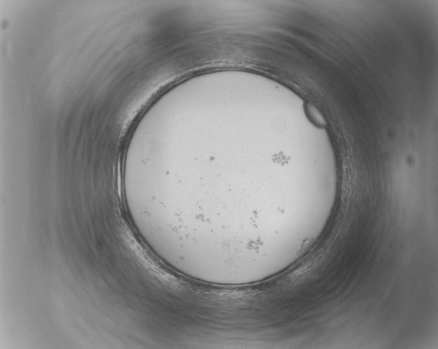 X0000051920796200507152055