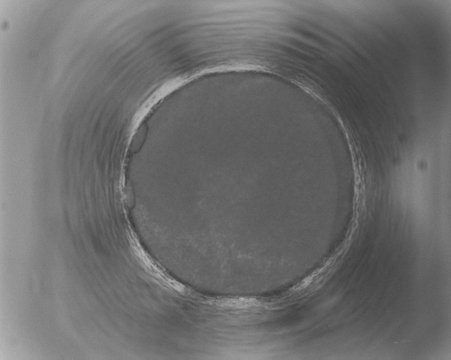 X0000051920797200507152055