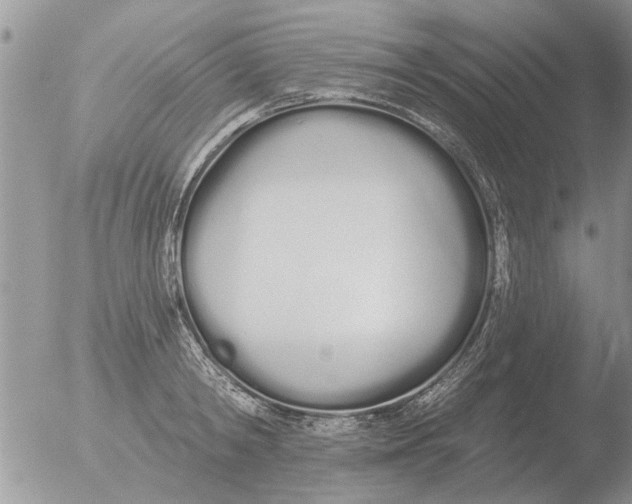 X0000051920798200507152055