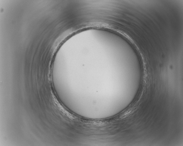 X0000051920799200507152055