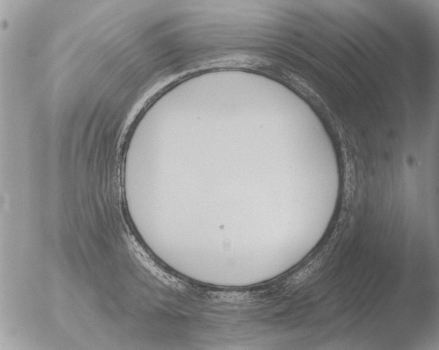 X0000051920800200507152055