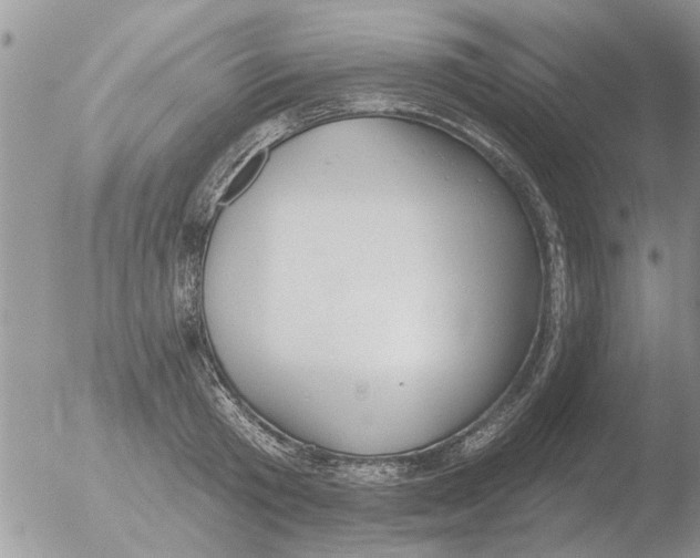 X0000051920801200507152055