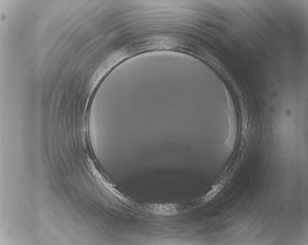 X0000051920802200507152055