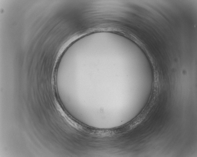 X0000051920803200507152055