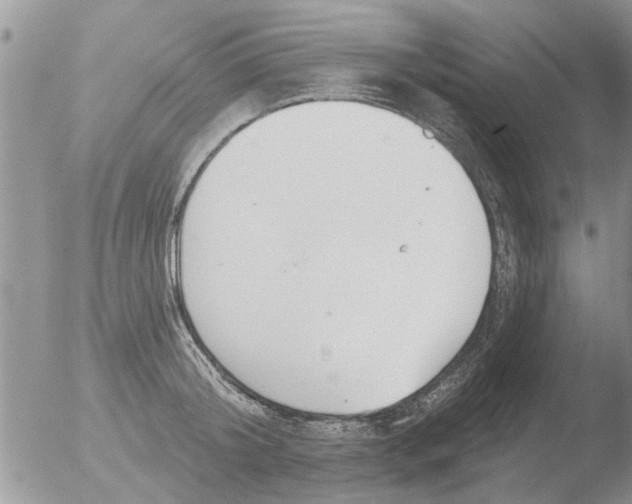 X0000051920804200507152055