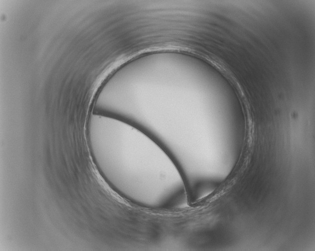 X0000051920805200507152055