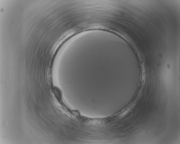 X0000051920806200507152055