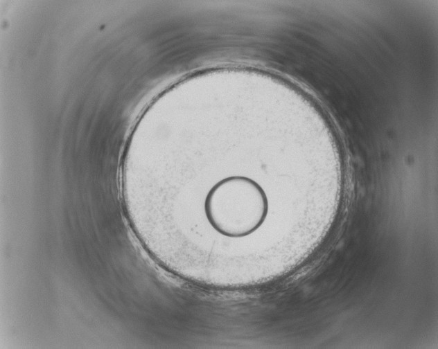 X0000051920807200507152055