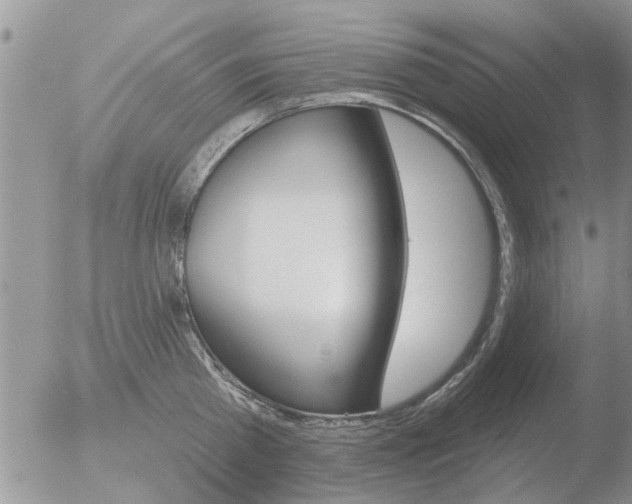 X0000051920809200507152055