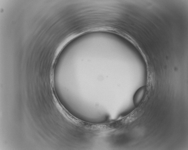 X0000051920811200507152055