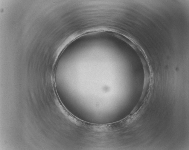 X0000051920813200507152055