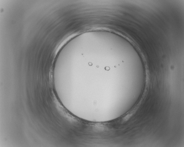 X0000051920814200507152055