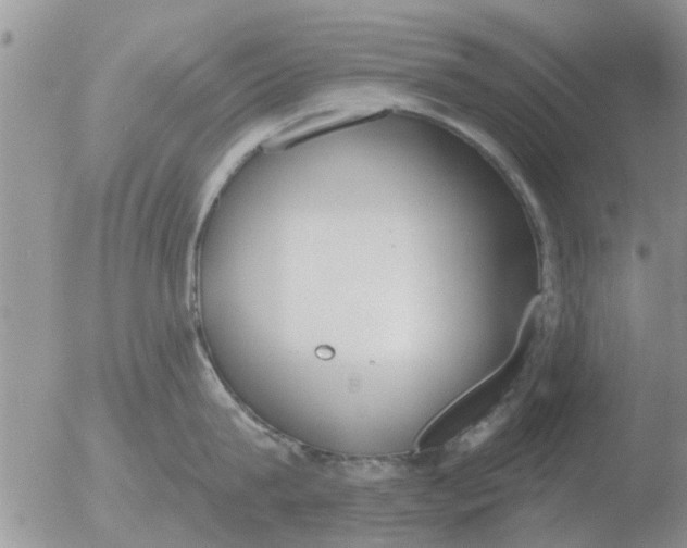 X0000051920815200507152055