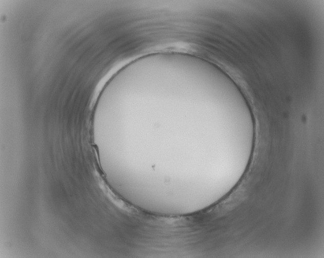 X0000051920816200507152055