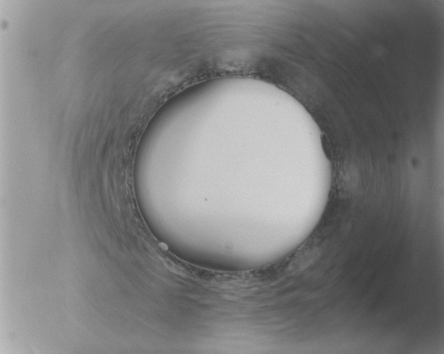 X0000051920817200507152054