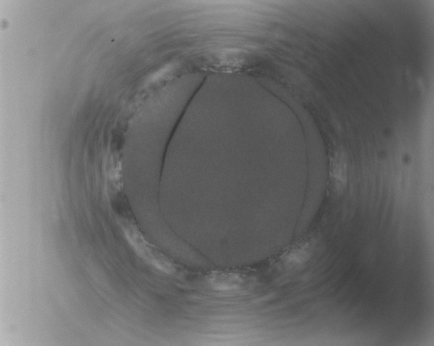 X0000051920818200507152054