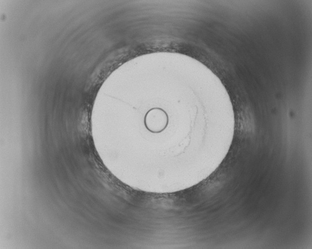 X0000051920820200507152054