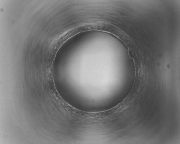 X0000051920822200507152054