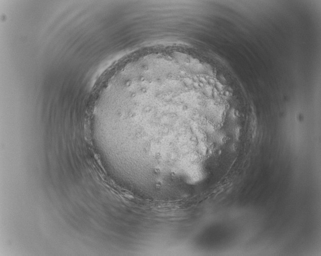 X0000051920823200507152054