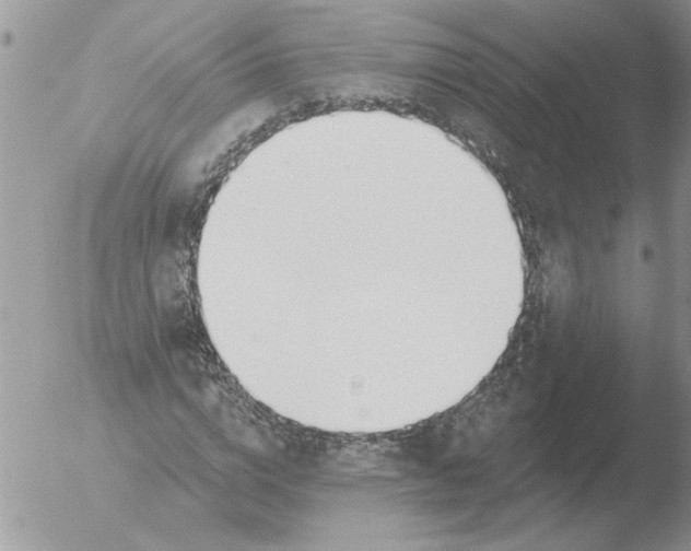 X0000051920824200507152054