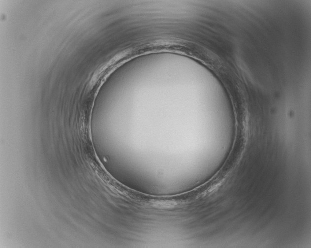 X0000051920825200507152054