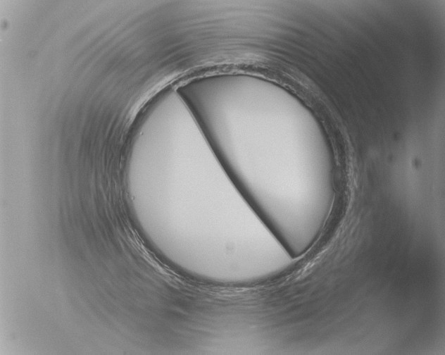 X0000051920826200507152054