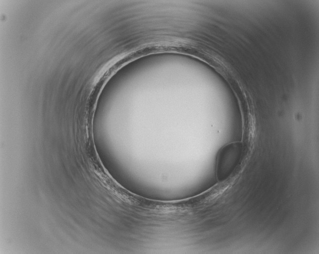 X0000051920829200507152054