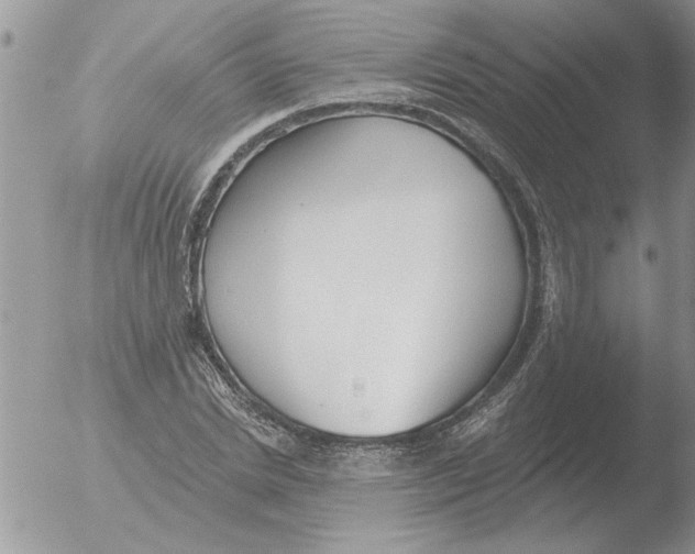 X0000051920830200507152054