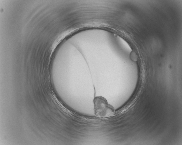 X0000051920831200507152054