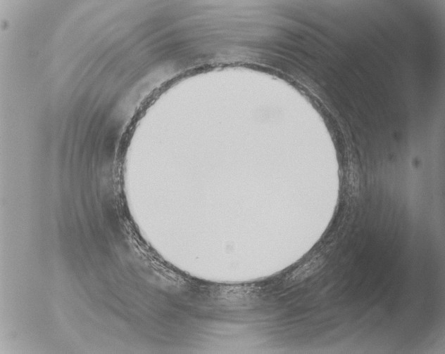 X0000051920832200507152054