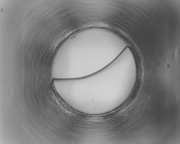 X0000051920833200507152054