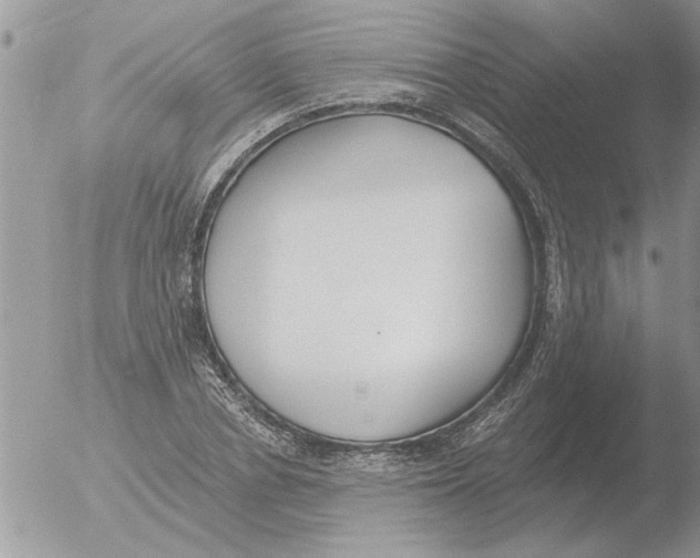 X0000051920834200507152054