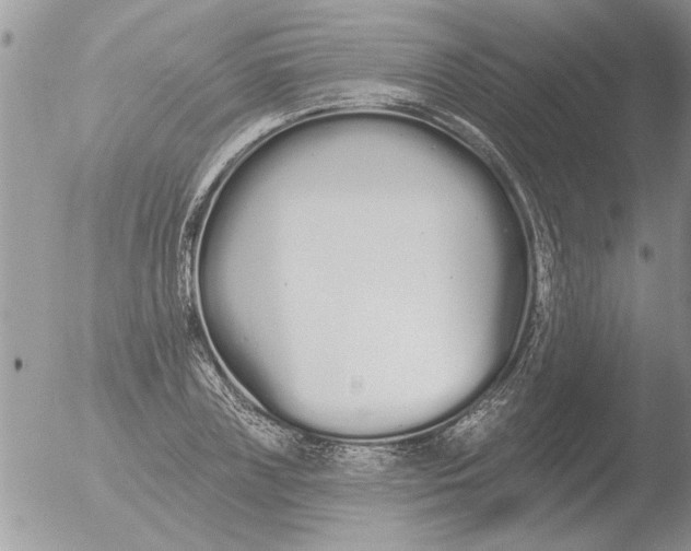 X0000051920835200507152055