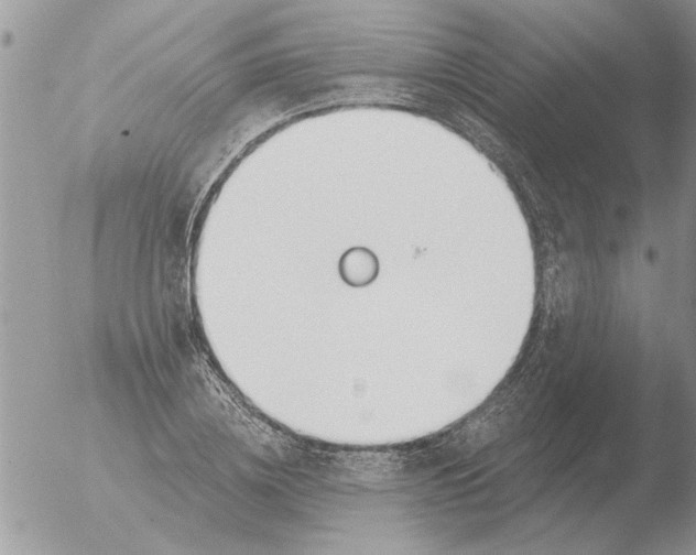 X0000051920836200507152055