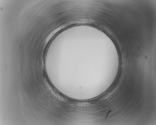 X0000051920837200507152055