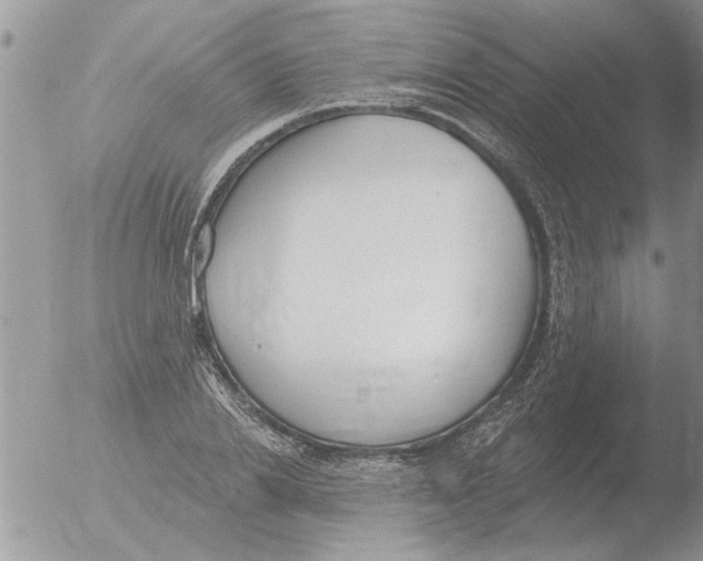 X0000051920838200507152055